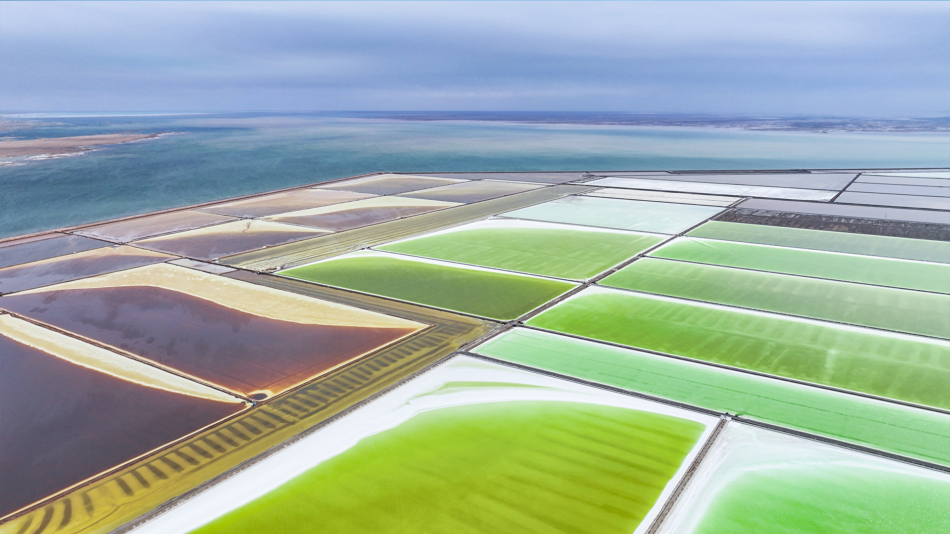 憑藉全球專業知識引領鋰提取