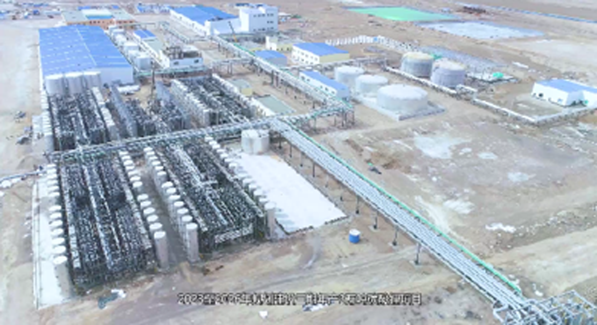 吸附耦合膜法工藝：年產1萬噸LCE