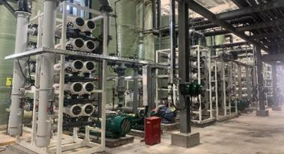 吸附耦合膜法工藝：年產3,000噸LCE