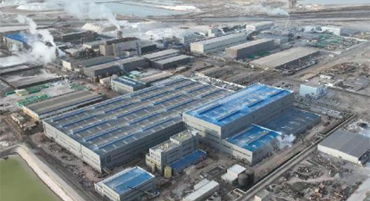 膜法工藝：年產2萬噸LCE