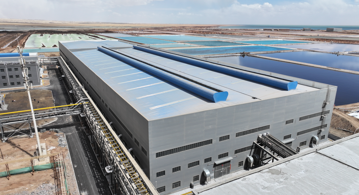 吸附耦合膜法工藝：年產1.5萬噸LCE